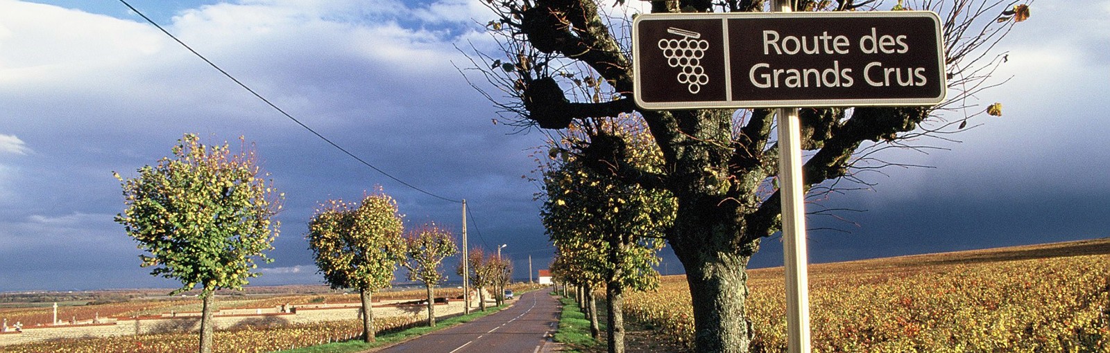 Tours Borgoña - Días completos - Excursiones desde París