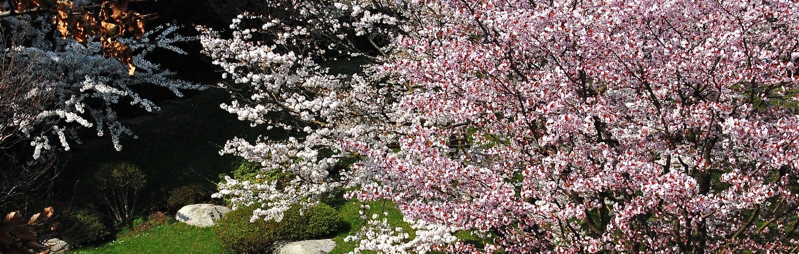 Tours Boulogne Billancourt Musée de los años 30 - Medio-días - Excursiones desde París