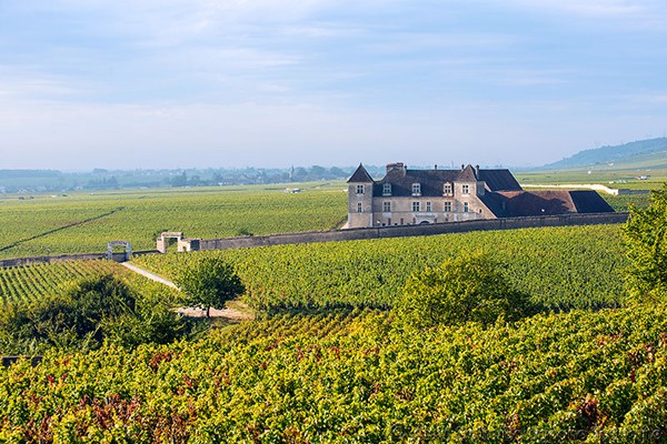 Champagne - Burgundy - Berry - Multi-régional - Circuitos desde Paris