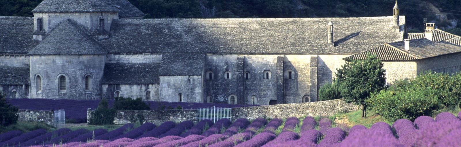 Tours Two days in Provence - Multi-régional - Circuitos desde Paris