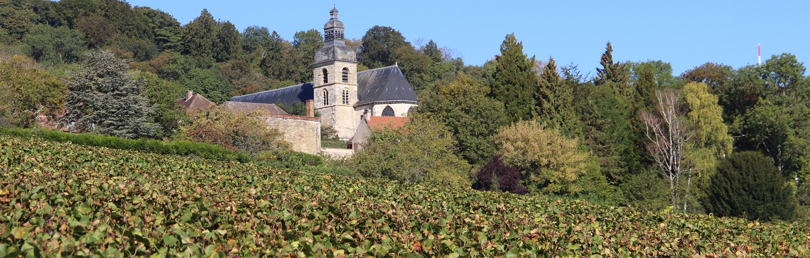 Tours Reims – Champaña - Días completos - Excursiones desde París
