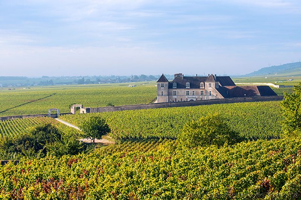 Borgoña - Yonne - Auxerre - Vézelay - Semur - Beaune - viñedos - degustaciones