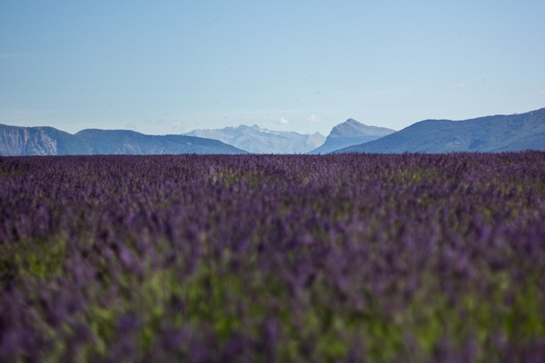 Paris - Burgundy – Lyon - Provence – French Riviera - Multi-régional - Circuitos desde Paris