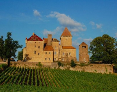 Château privé recevant des hôtes