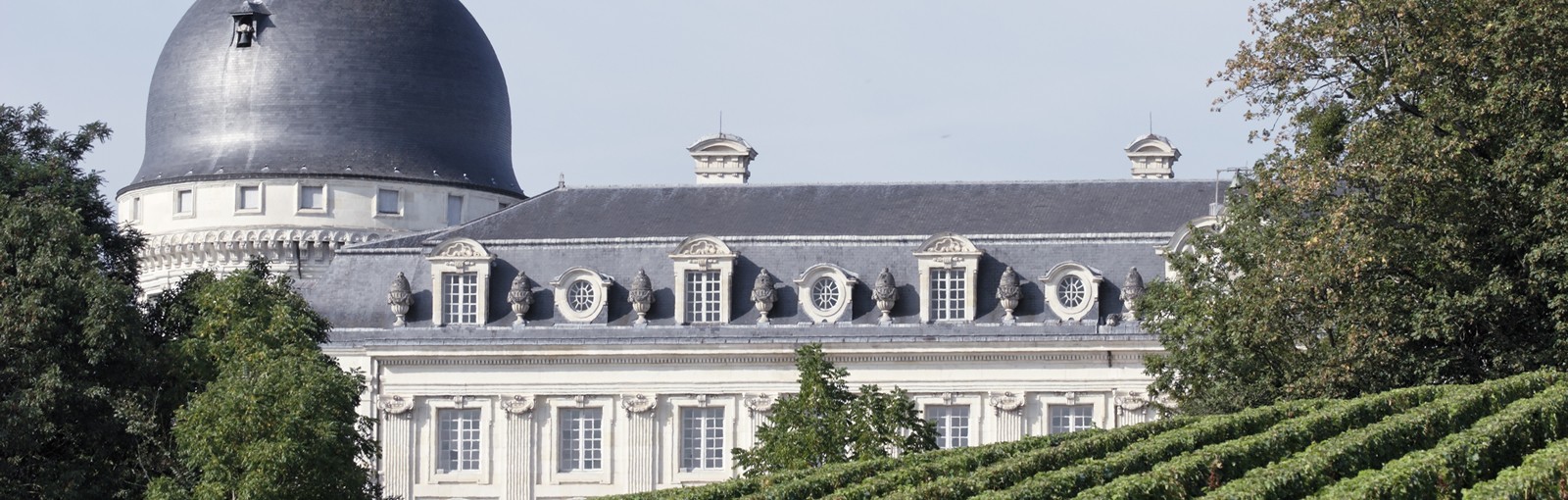 Tours Entre Berry y Loire, vinos y castillos pequeños y grandes - Valle del Loira - Circuitos desde Paris