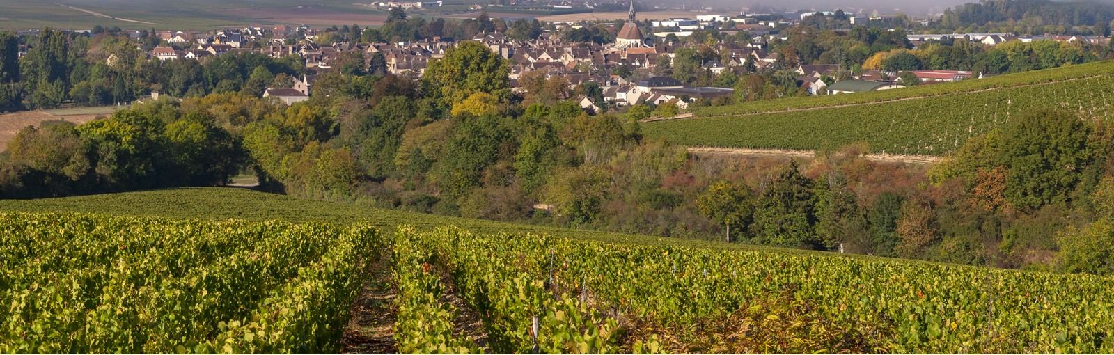 Chablis