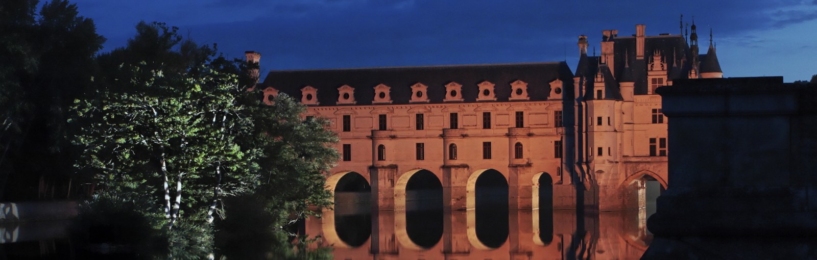 Tours Chambord, Chenonceau y Cheverny o Chaumont o Blois - Días completos - Excursiones desde París