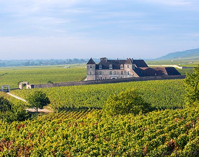 Clos-de-Vougeot
