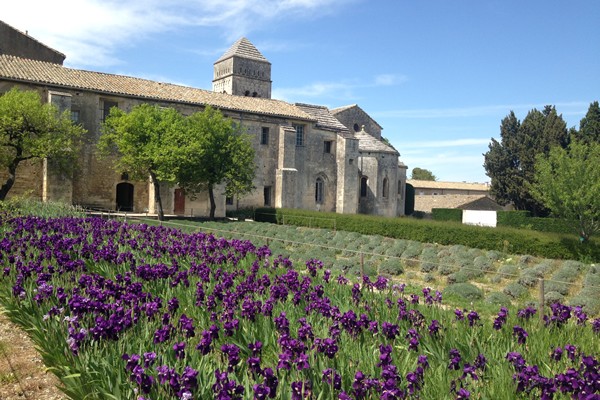 Two days in Provence - Multi-régional - Circuitos desde Paris