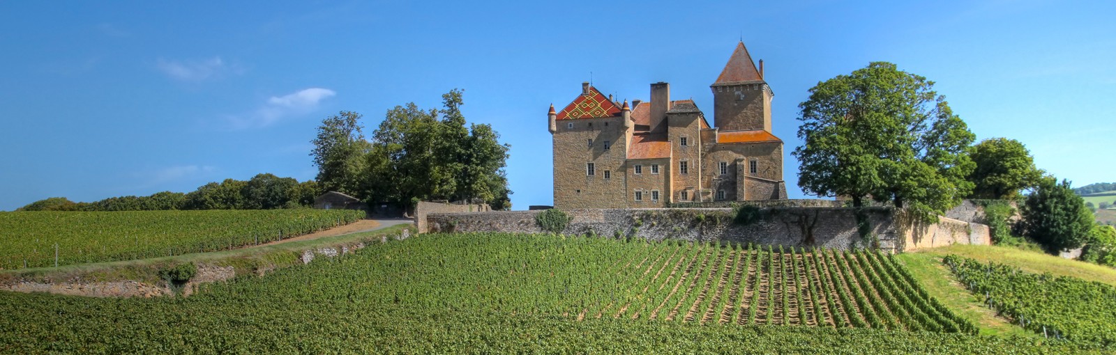 Château privé recevant des hôtes