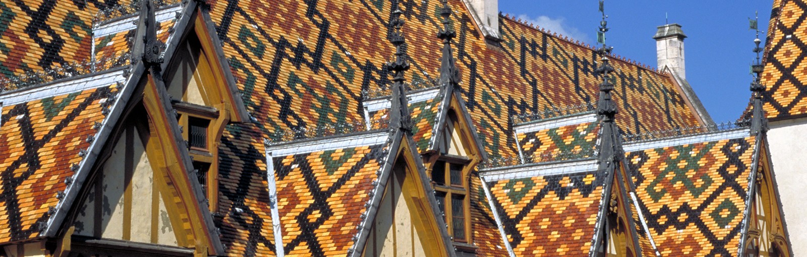 Borgoña - Circuitos desde Paris