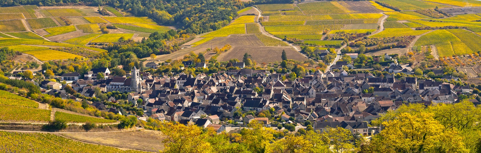 Tours 2 días en Borgoña: recorrido del Yonne y de los viñedos de 'Côtes de Beaune' - Borgoña - Circuitos desde Paris