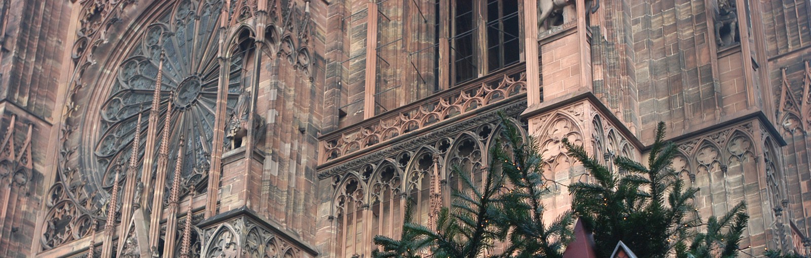 Tours Overnight tour in Alsace - ALSACE - TOURS REGIONALES