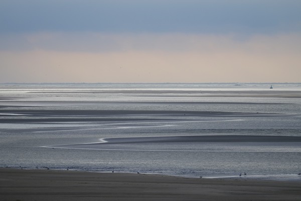 Bahía del Somme - focas - guerra mundial - Crotoy - Hourdel