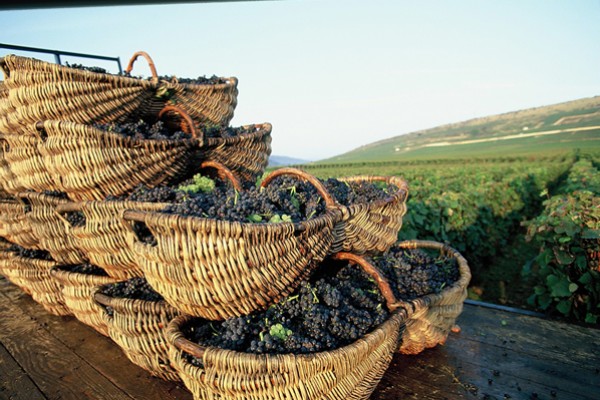 Borgoña - Días completos - Excursiones desde París