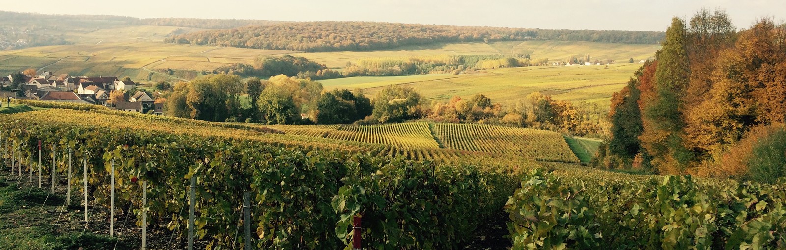 Tours Paris – Champagne - Burgundy – Berry – Loire Valley - Paris - Multi-régional - Circuitos desde Paris